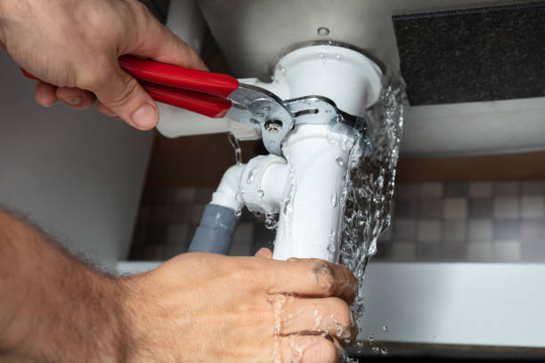 Best Professional water damage repair  in Forney, TX