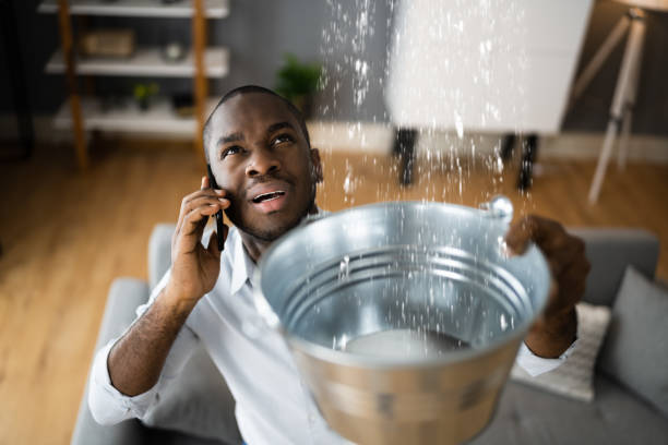 Best Ceiling water damage repair  in Forney, TX