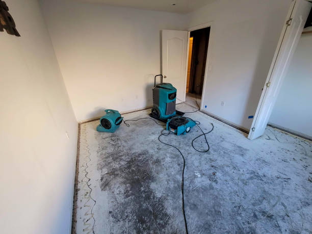 Best Water damage restoration services  in Forney, TX