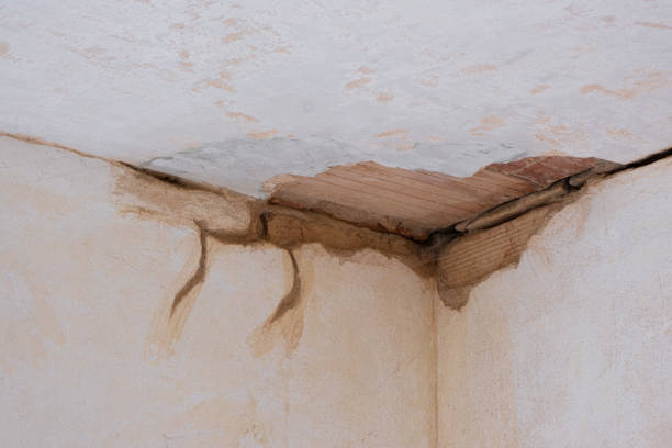 Best Flood damage cleanup  in Forney, TX