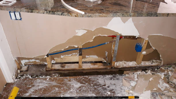 Best Basement water damage restoration  in Forney, TX