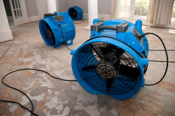 Best Ceiling water damage repair  in Forney, TX