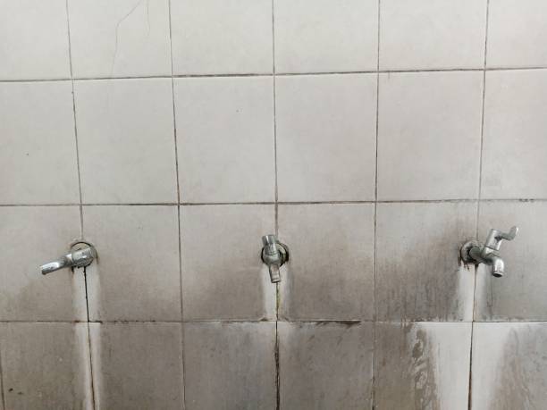 Water damage restoration mold remediation in Forney, TX