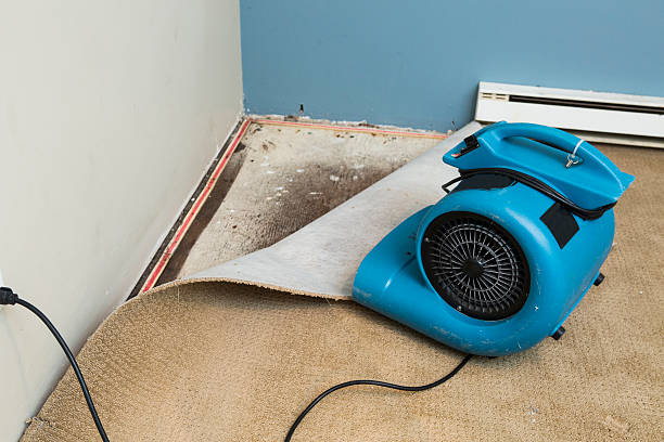 Best Water damage restoration near me  in Forney, TX